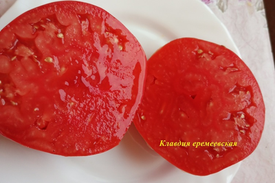 Томат Клавдия еремеевская