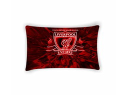 Подушка горизонтальная Ливерпуль, Liverpool FC №3