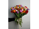 Букет тюльпанов миксом 55шт