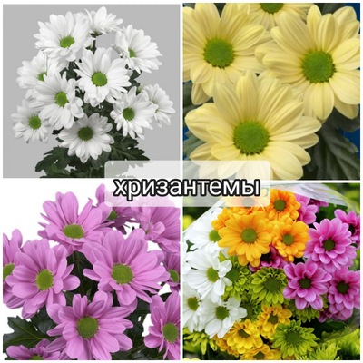 Набор молдов "Большие серединки+ Мини серединки"