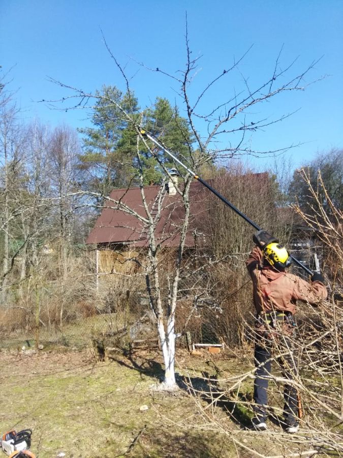Обрезка плодовых 
