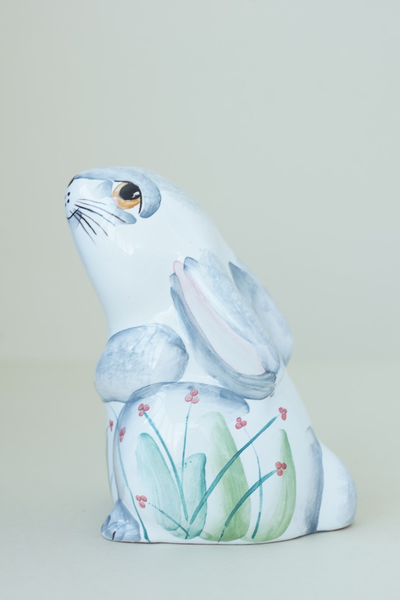 Зайка любопытный