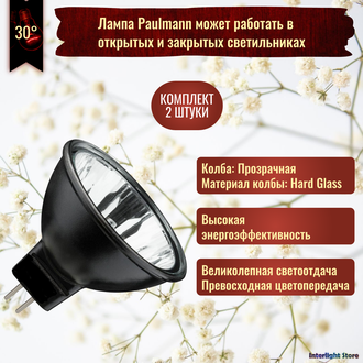 Paulmann Akzent Black Flood 20w 12v 30° GU4 FTD