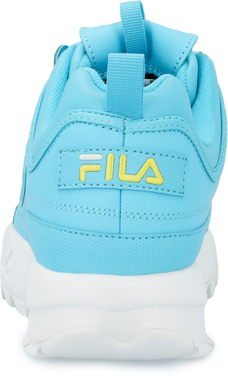 Disruptor low 11262.1 fg store