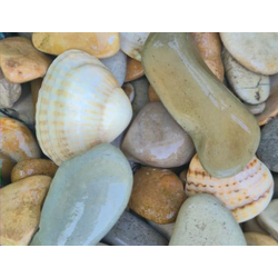 Морской Микс