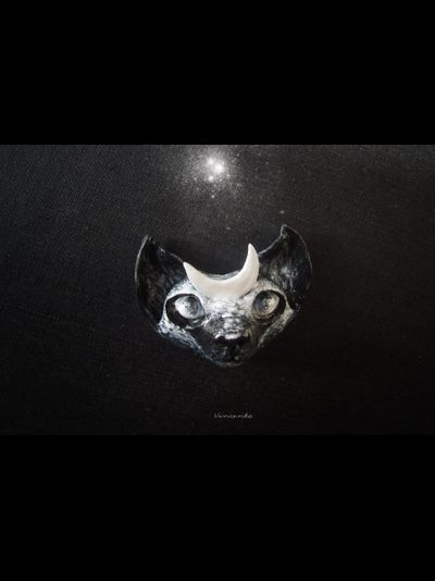 Необычная брошь в стиле фэнтези "Лунный котик - заклинатель звёзд"