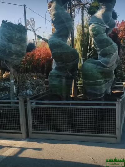 КСР-4 Контейнер сетчатый разборный цинк 2000х1800х1000 мм (от 5шт)