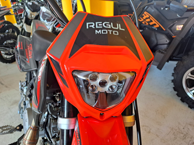 Regulmoto SEVEN MEDALIST PRO 19/16