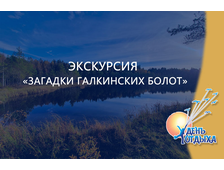 Экскурсия &quot;Загадки Галкинских болот&quot;
