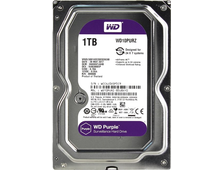 Western Digital Purple