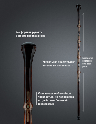 Трость  с набалдашником "Аревс"