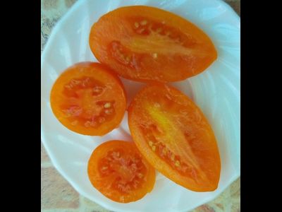 Томат Елисей