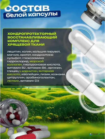 Сустальмакс 2в1, природный хондропротектор