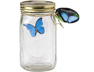 Электронная интерактивная БАБОЧКА В БАНКЕ (Butterfly in a Jar). Купить ...
