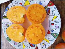 Томат Ранний оранжевый Розали (Rosalie’s early orange), США