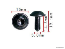 Болт 5.8*14.3*15 mm TORX 2270 (цена за 100 шт.)