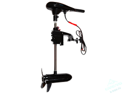 Подвесной электромотор WaterSnake Tracer FWTCS44TH/26 12V