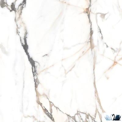 Керамогранит Alpas Euro Eco Marble 6582 60х60 см глянцевый, под мрамор Calacatta Borghini