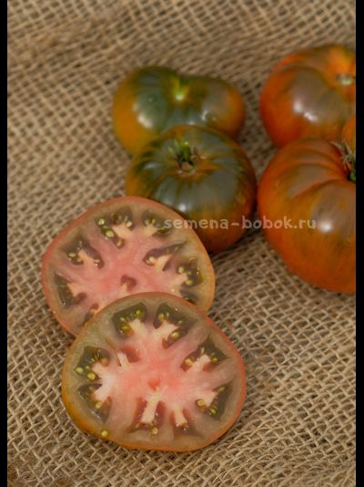 Томат Dwarf Chocolate Champion (Гном Шоколадный Чемпион), 10 шт