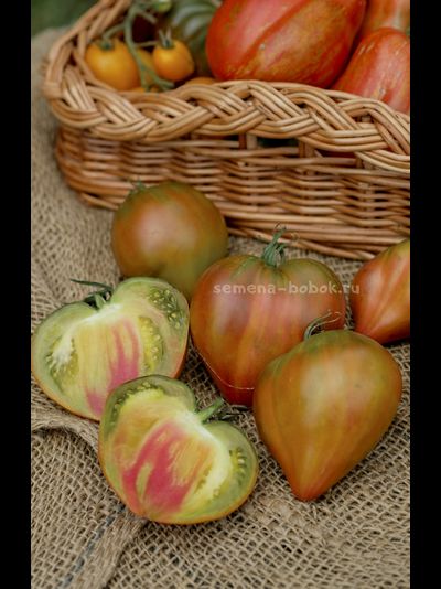 Томат Истинные цвета (True Colours), 10 шт