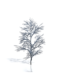 Billboards Дерево зимнее_06