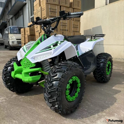 Электроквадроцикл ECO Lizard 48V30AH