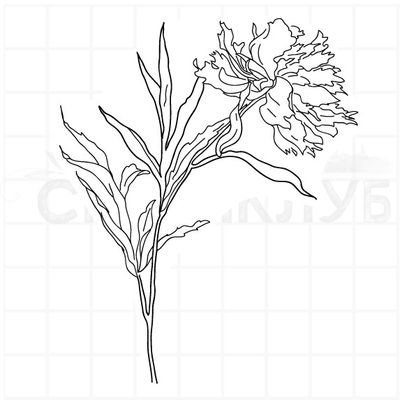 Штамп прозрачный пион