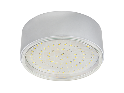 Светильник накладной Ecola GX70-N50 легкий серебро 42X120 FS70NFECD