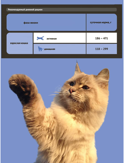 Probalance (Пробаланс) влажный корм (консерва) для стерилизованных кошек в соусе 415 г