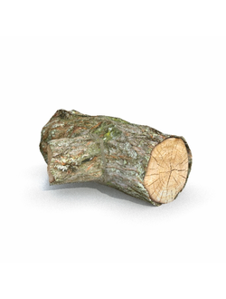 пни Бревно с сучком