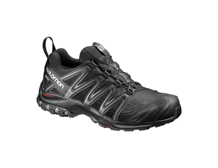 SALOMON XA PRO 3D GTX Bl Bl Magnet 393322