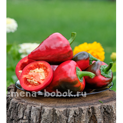 Перец  сладкий Леся, 10 шт