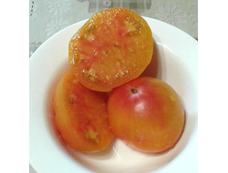 Семена томата Старожил