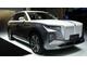 Hongqi ehs9