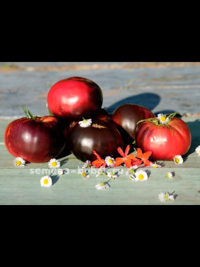 Томат Аметистовое сердце, 10 шт.