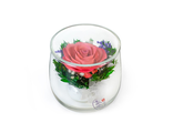 Композиция из розовой розы, SSRp / Цветы в стекле
