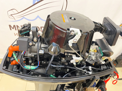 Лодочный мотор PARSUN T9.9BMS PRO под колпаком