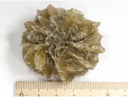 Гипс, "Гипсовая роза", крупный сросток кристаллов, Россия, Ставропольский край (50*48*20 мм, 47 г) №29338