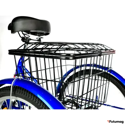 Электровелосипед трицикл РВЗ Чемпион (RVZ-HZ-01) черный