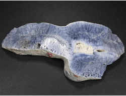 Коралл голубой Акори, Австралия (86*41*11 мм, 45 г) №37708