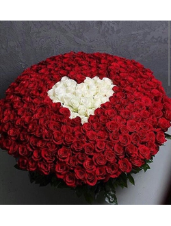 303 розы в корзине