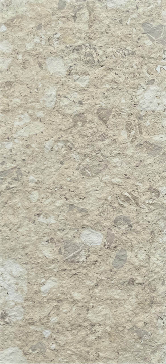 Rough Stone Granite