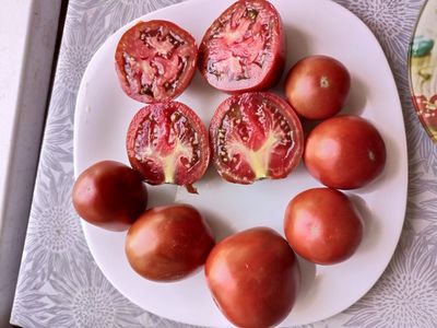 Томат Черный принц