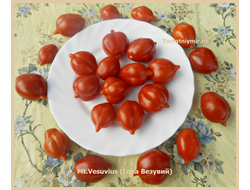 Томат Гора Везувий (Mt.Vesuvius, Mountain Vesuvius)