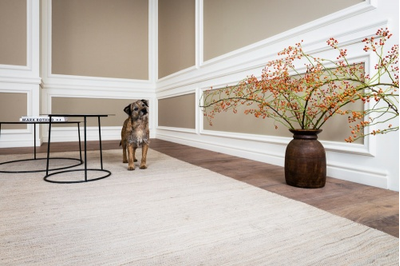 Напольный плинтус из дюрополимера Orac Decor коллекция Axxent SX137