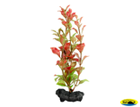 270299 Растение аквариумное Red Ludwigia 1(S) 15cм с утяжелителем