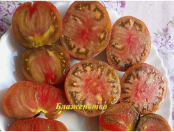 Томат Блаженство