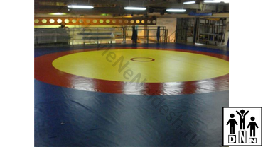 борцовский ковер