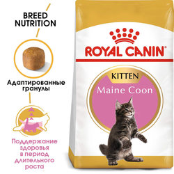Royal Canin (Роял Канин) Maine Coon Kitten Сухой корм для котят породы мейн-кун в возрасте до 15 месяцев, 400 г
