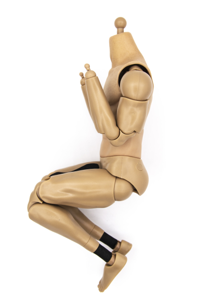 Тело DAMTOYS 1/6 (78063) - DAMTOYS